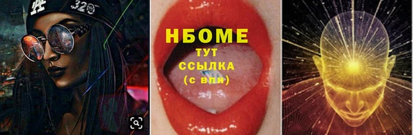 ECSTASY Ельня