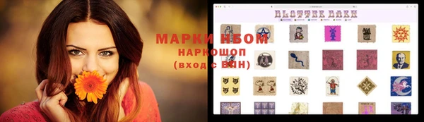 кокс Дмитров