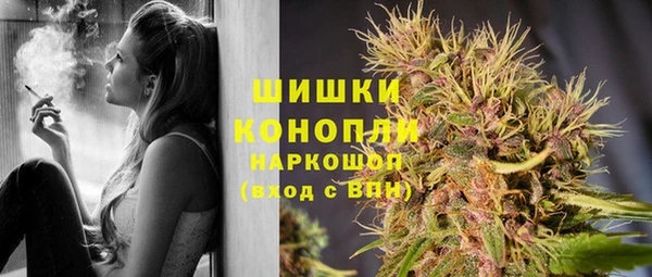 ECSTASY Ельня