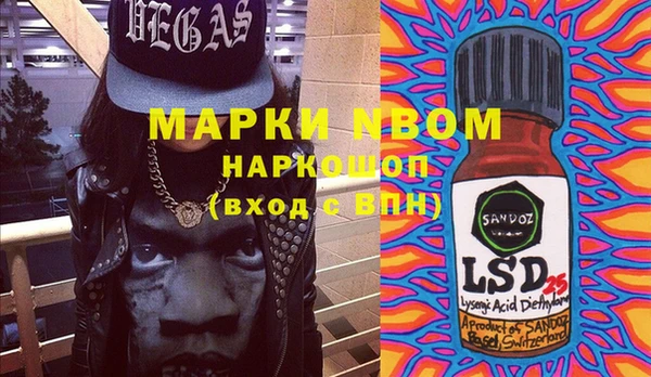 ECSTASY Ельня