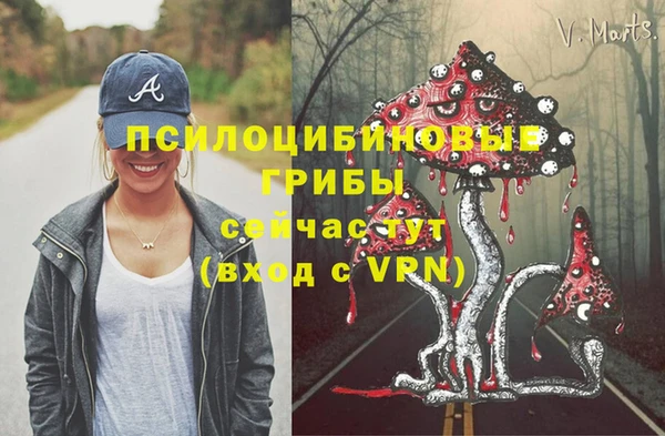 ECSTASY Ельня