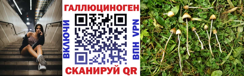 Галлюциногенные грибы прущие грибы  Купить закладки  Мантурово 